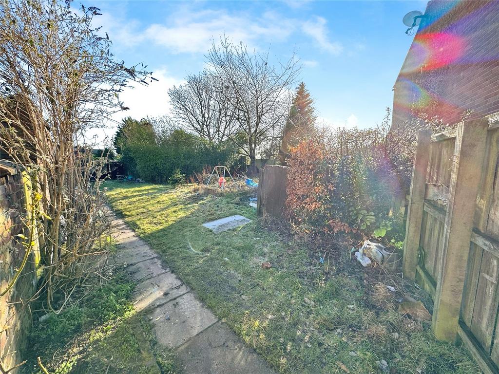 Back Garden