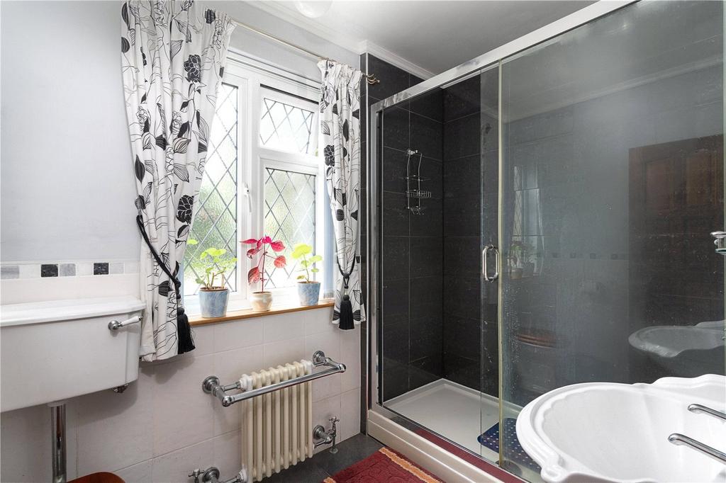 Ground Floor Shower