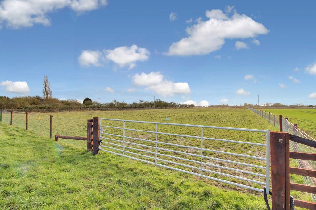 Additional Paddock