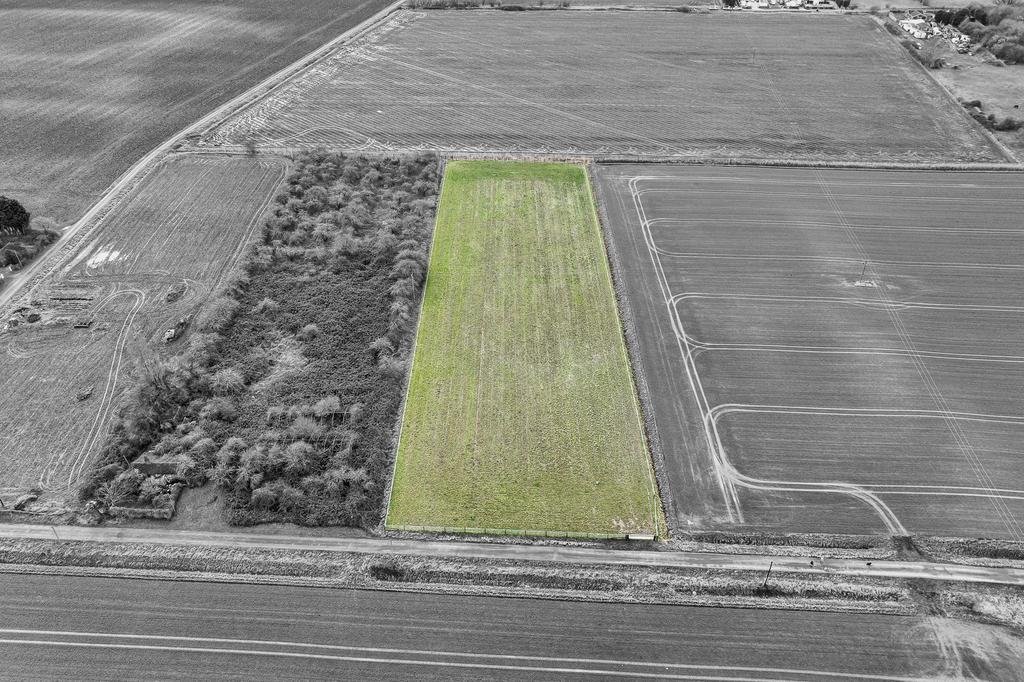 Additional Paddock