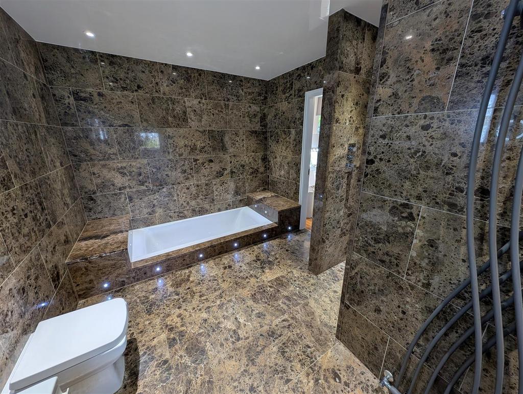 Jack and jill bathroom/shower/wc