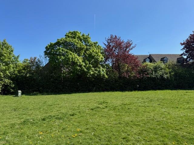 Northolt Park