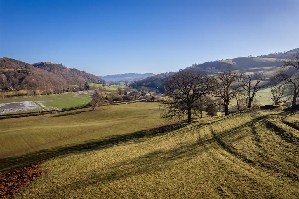 DJI 0156.jpg