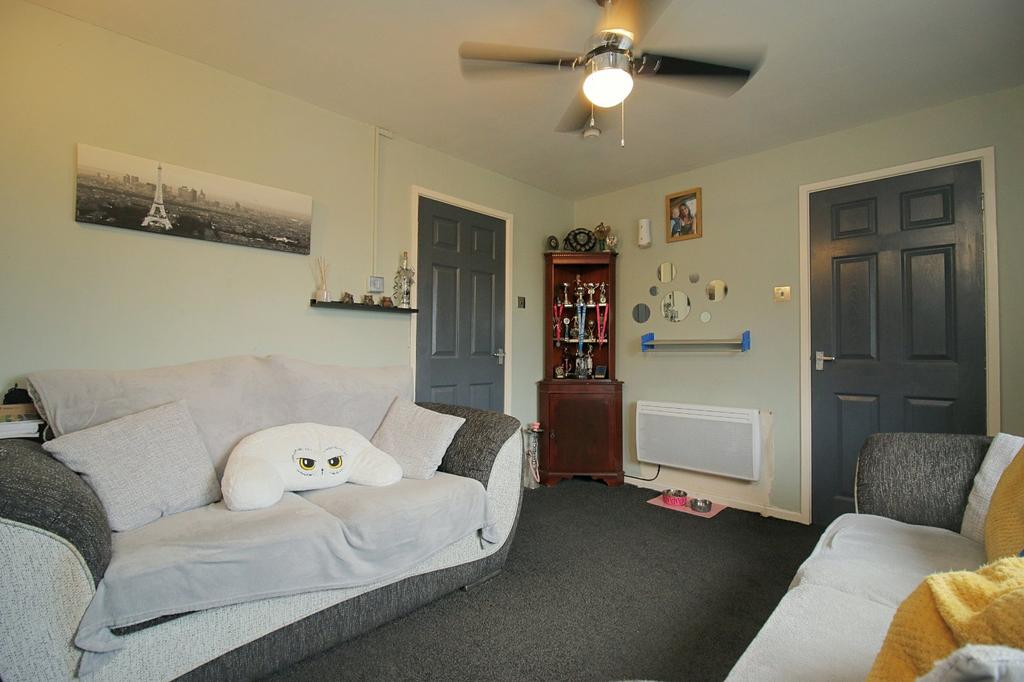 Picture 10