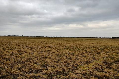 Land for sale, Parson Drove, Wisbech, Cambridgeshire, PE13