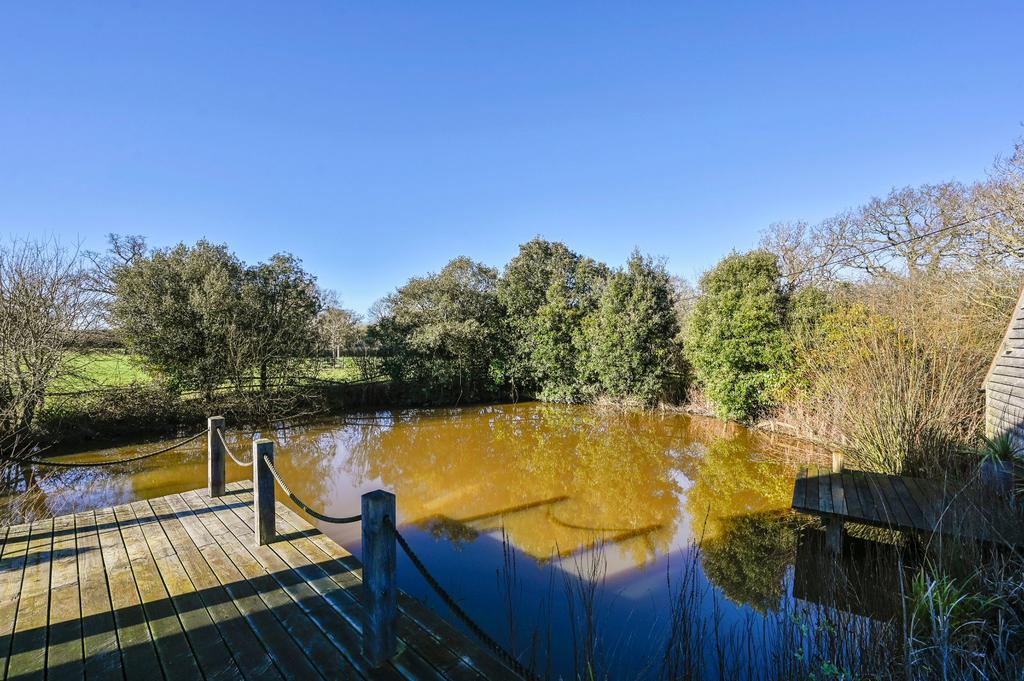 Pond