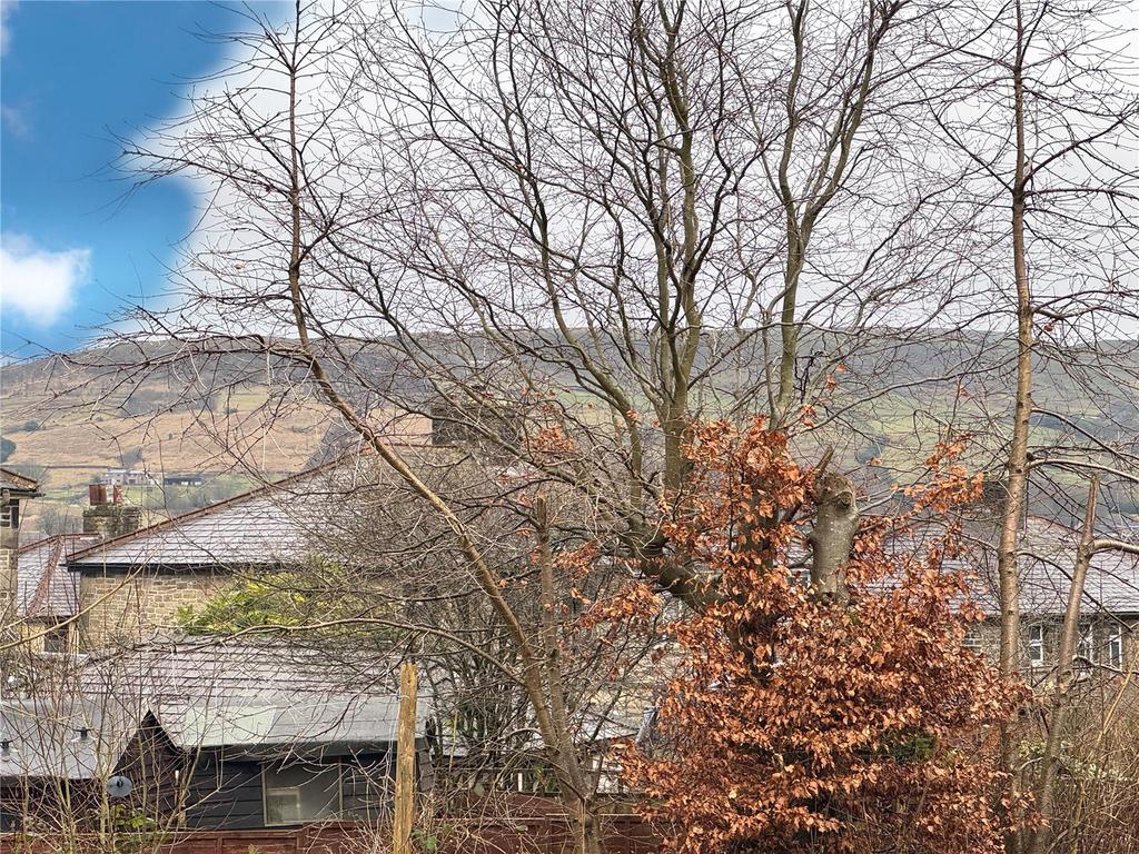 View From Garden