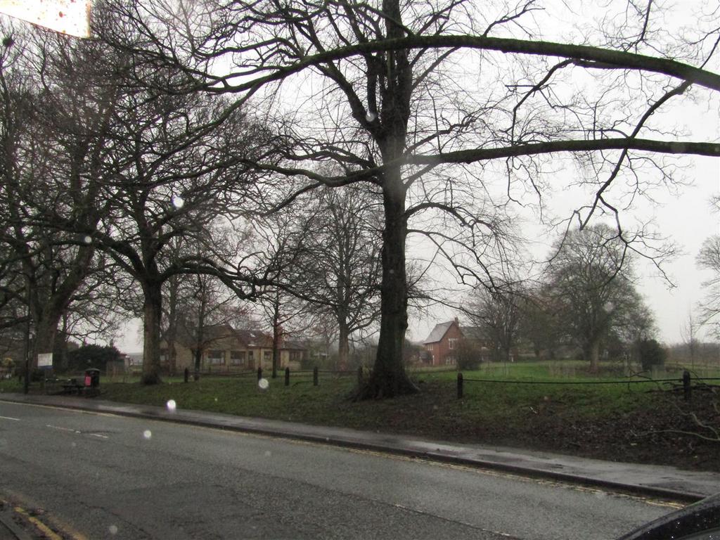 Img 7365.jpg