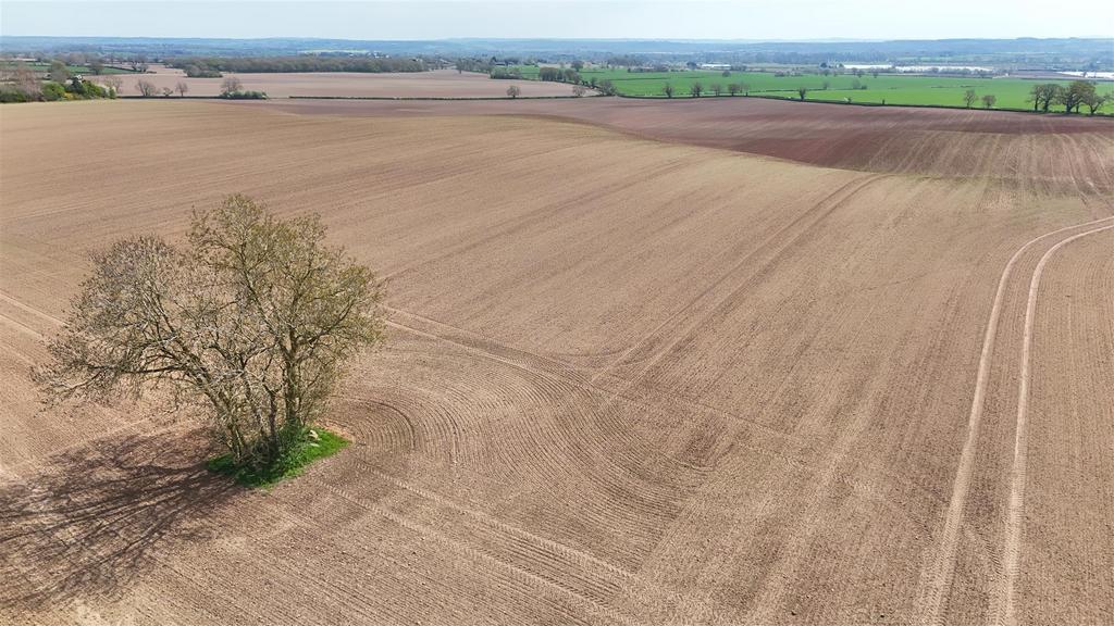 Dji 20250408133710 0319 d.jpg