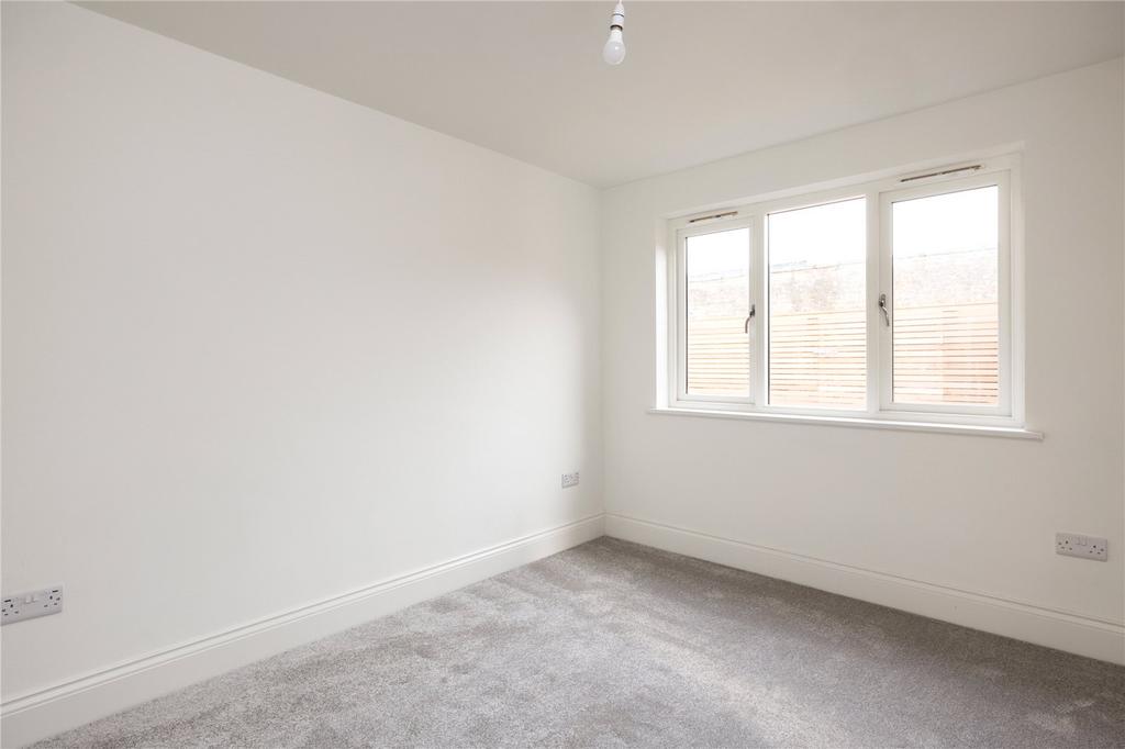 Photos
