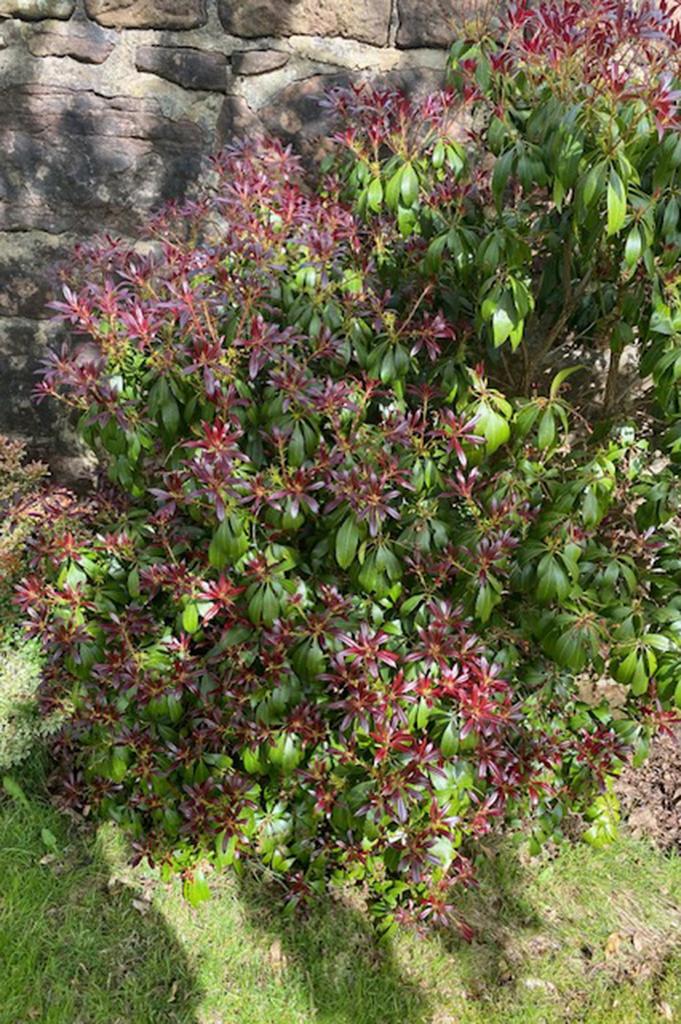 Picture 26