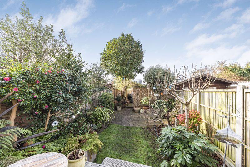 Back Garden