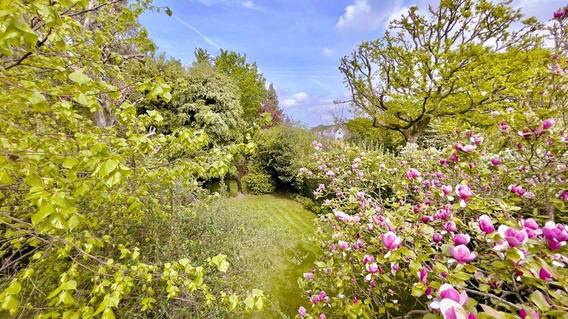 Garden 2