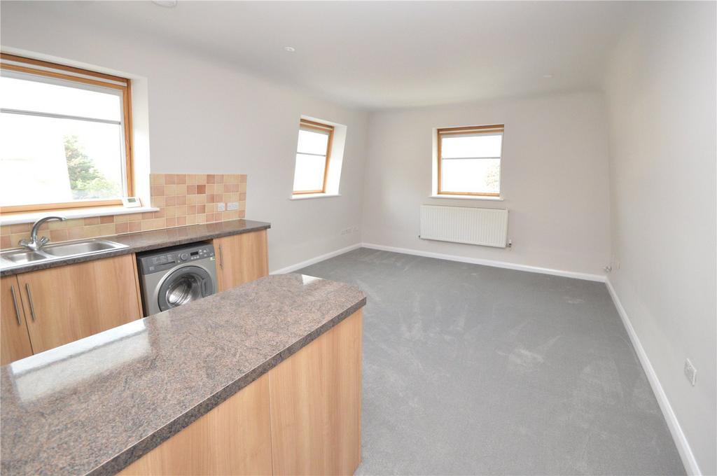 Open Living/Kitchen