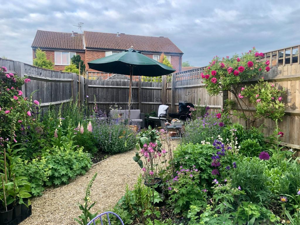 Garden In Summer