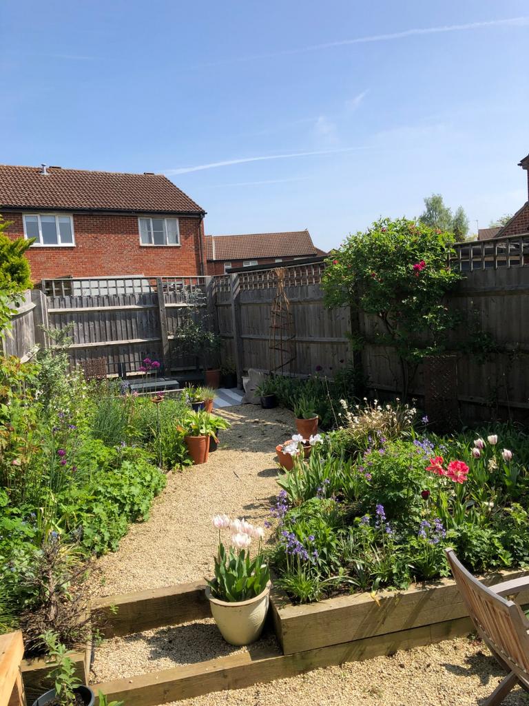 Garden In Summer