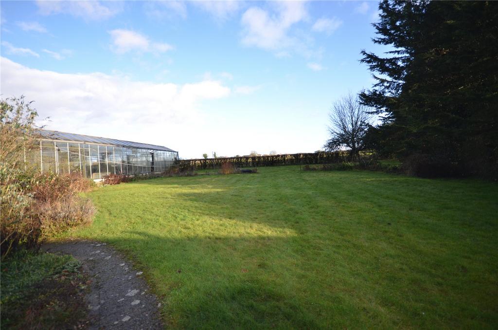 Picture No. 33