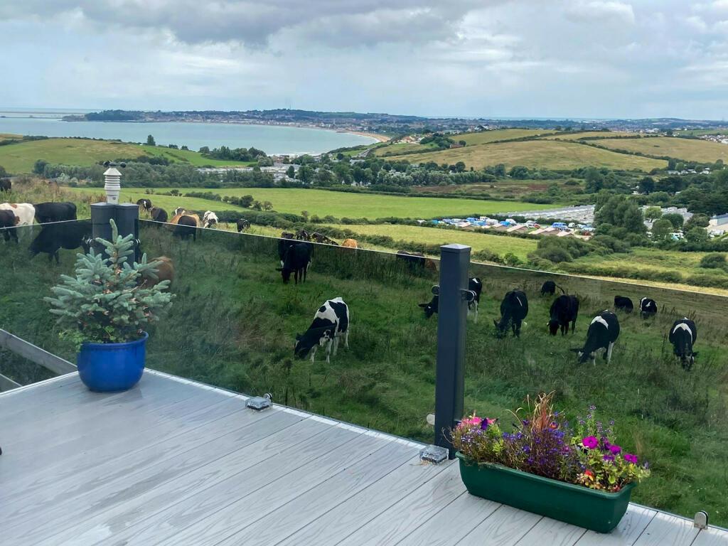 Lovely Views