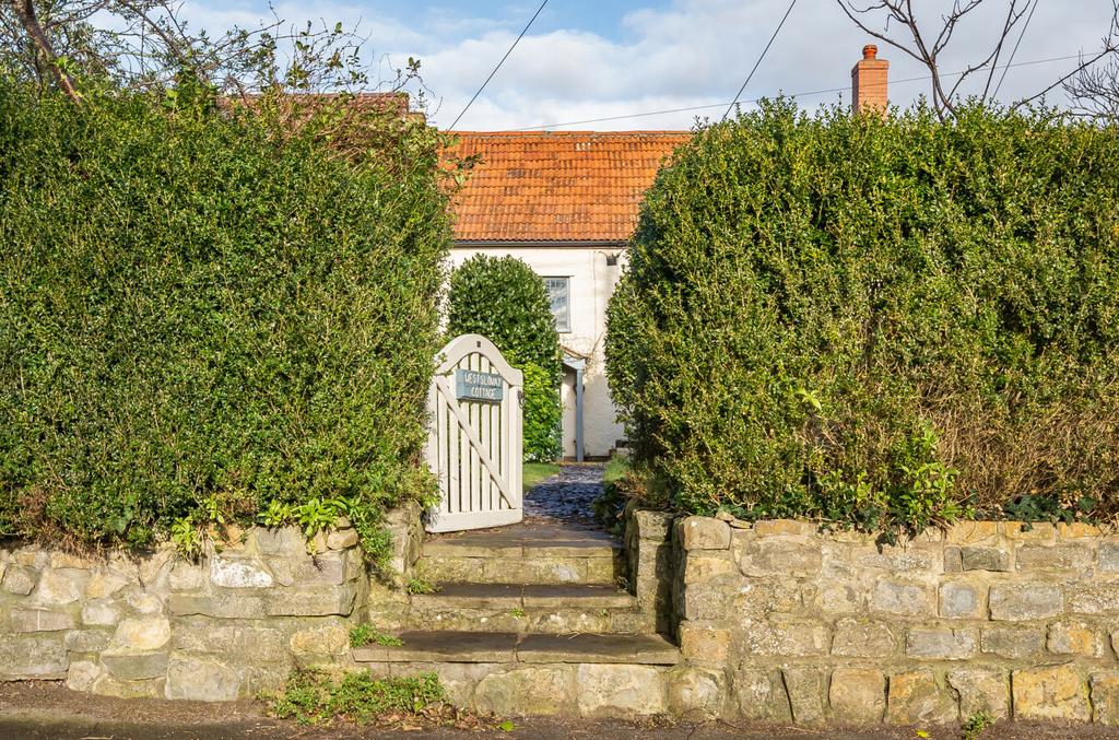 Front Pathway