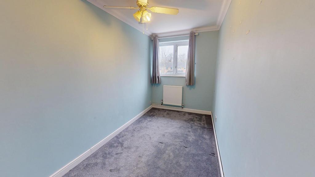 Media image 09