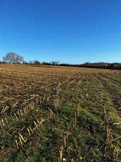 Land for sale, To The North Of A378, Fivehead, Taunton, Somerset, TA3