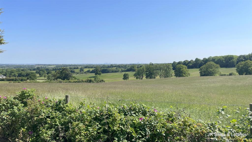 IMG 0119.jpg