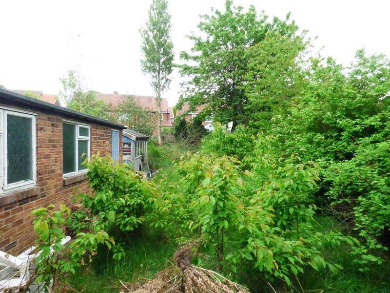 External