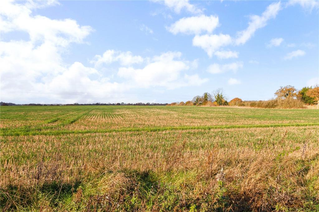 View Of Field