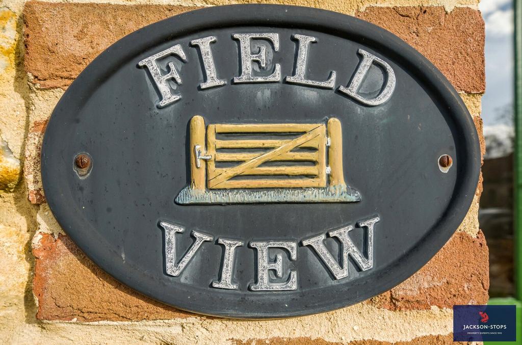 Field View