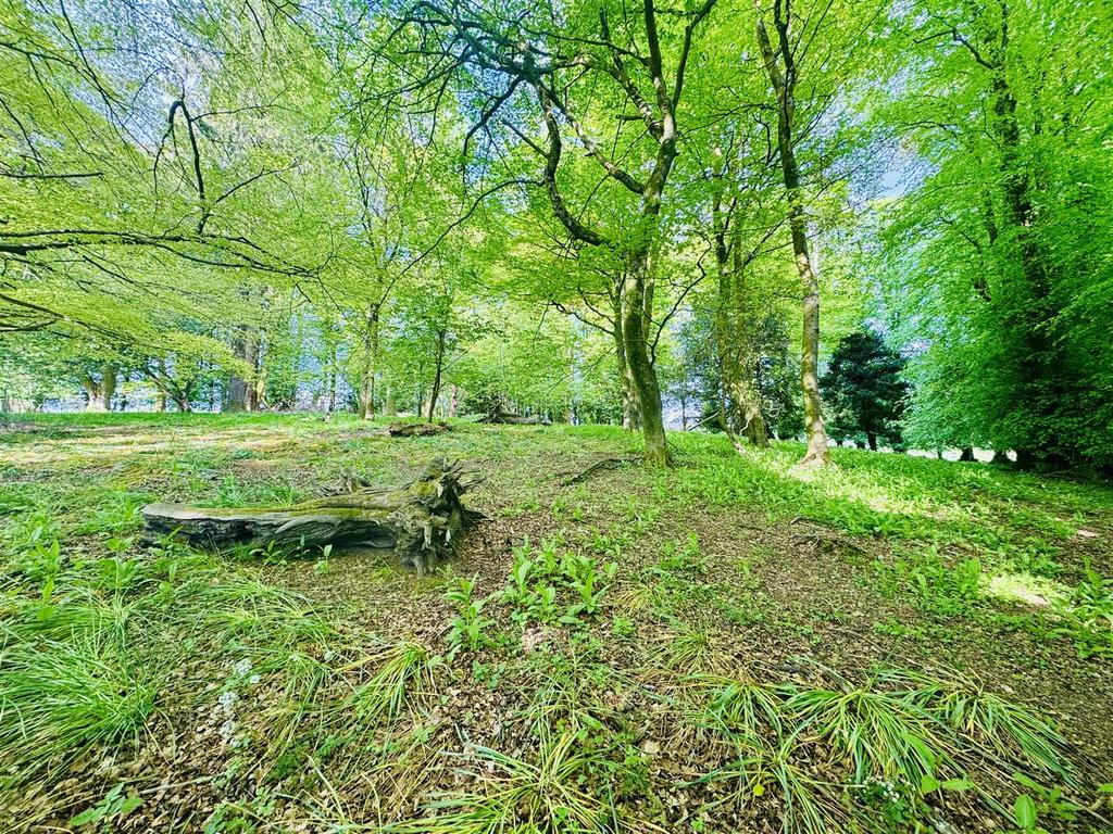 Grounds