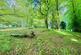 Crynant, Neath photo 4