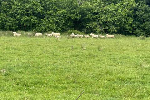 undefined, Talyclun, Llangennech