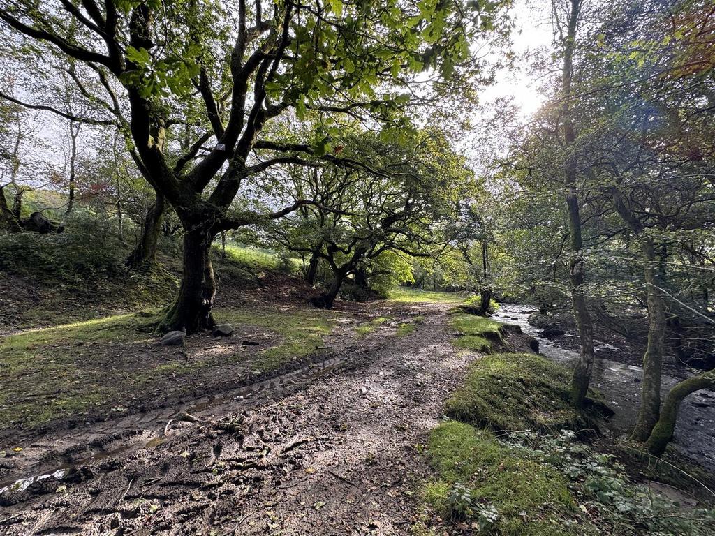 Woodland