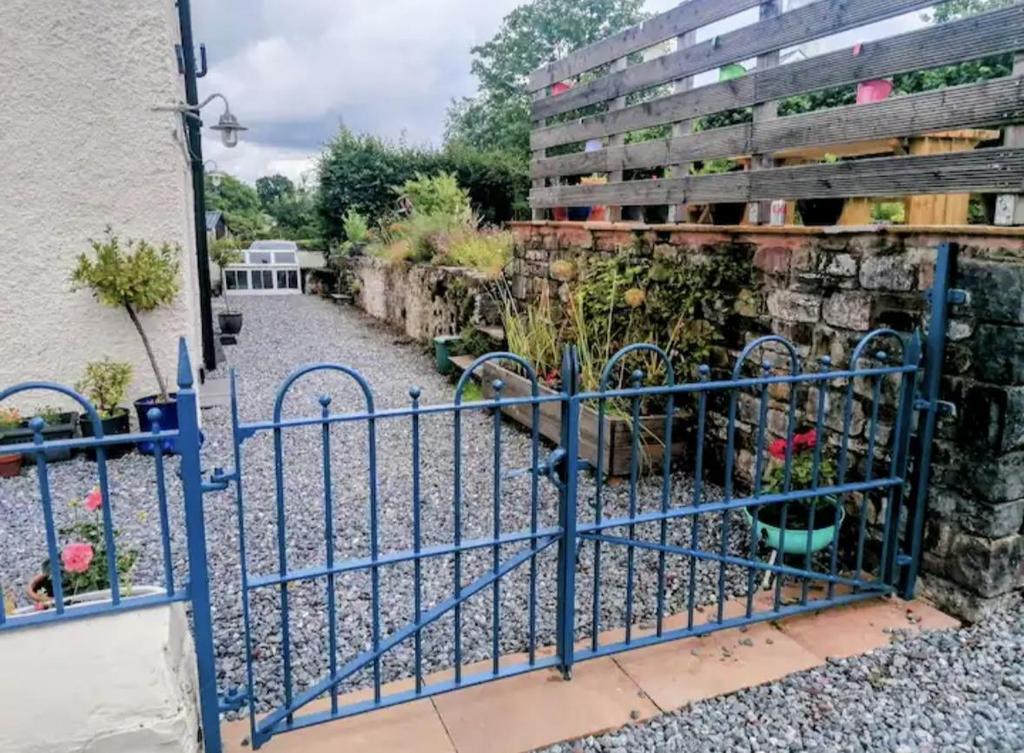 Rear courtyard and patio