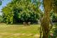 Additional image 7 of Dryslwyn, Carmarthen