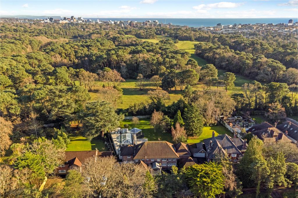 Aerial Shot
