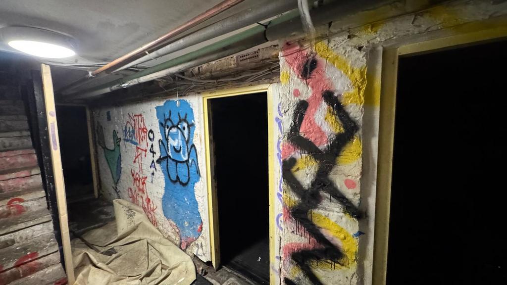 460 cellar 2.jpg