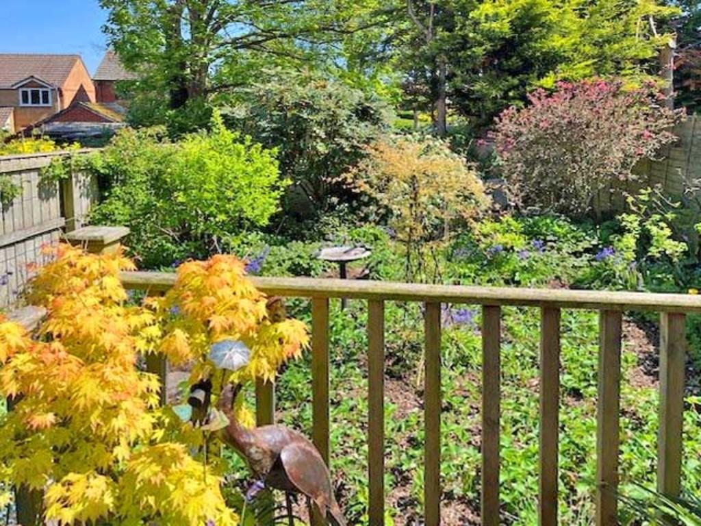 Garden new b