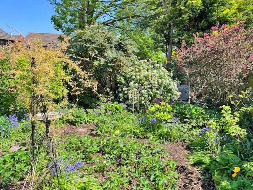 Garden new d