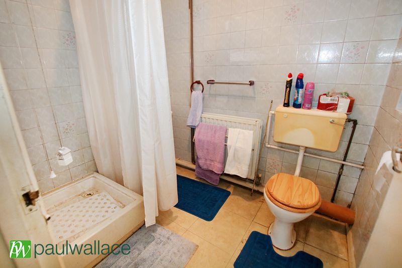Downstairs Shower