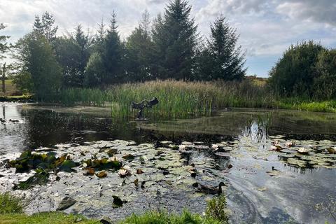 undefined, Newton Stewart, Wigtownshire, DG8
