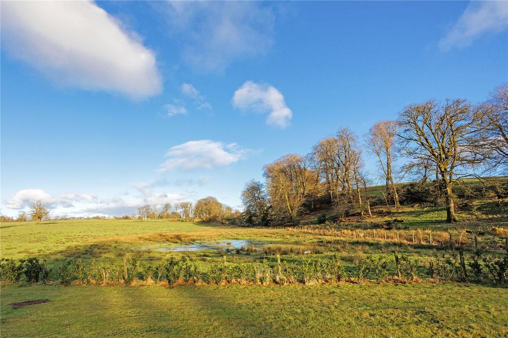 Grounds