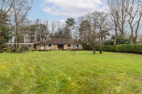 4 bedroom bungalow for sale, The Warren, Ashtead