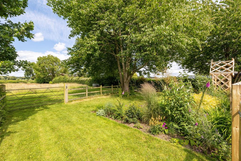 Rear garden area