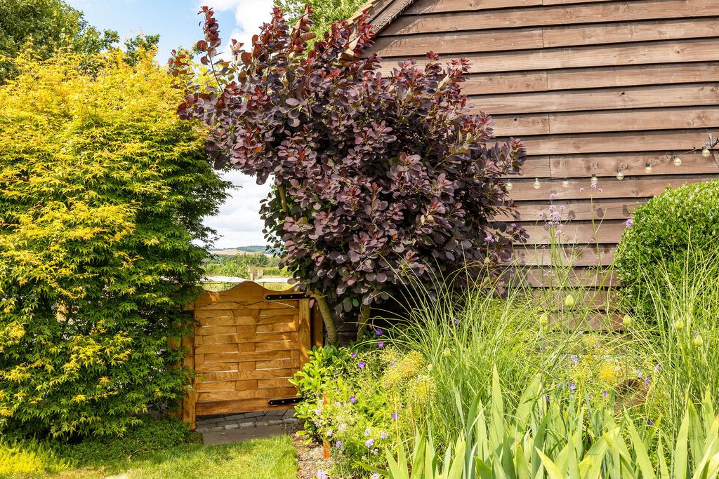 Rear gate to garage