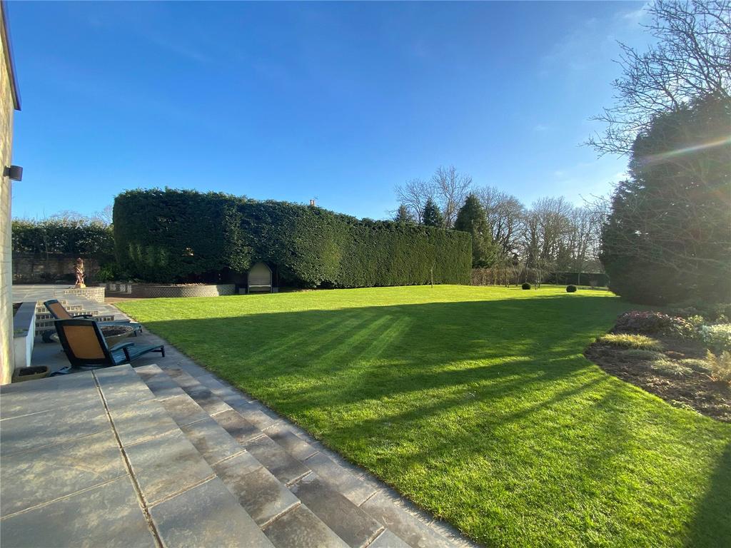 View Along Garden