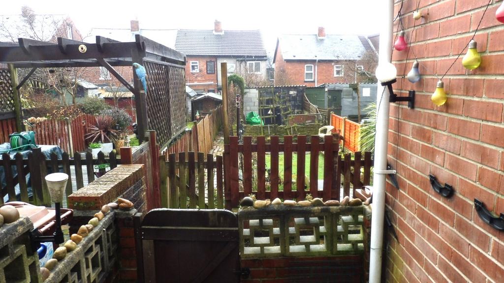 Rear Yard