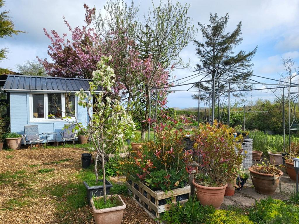 Summer House