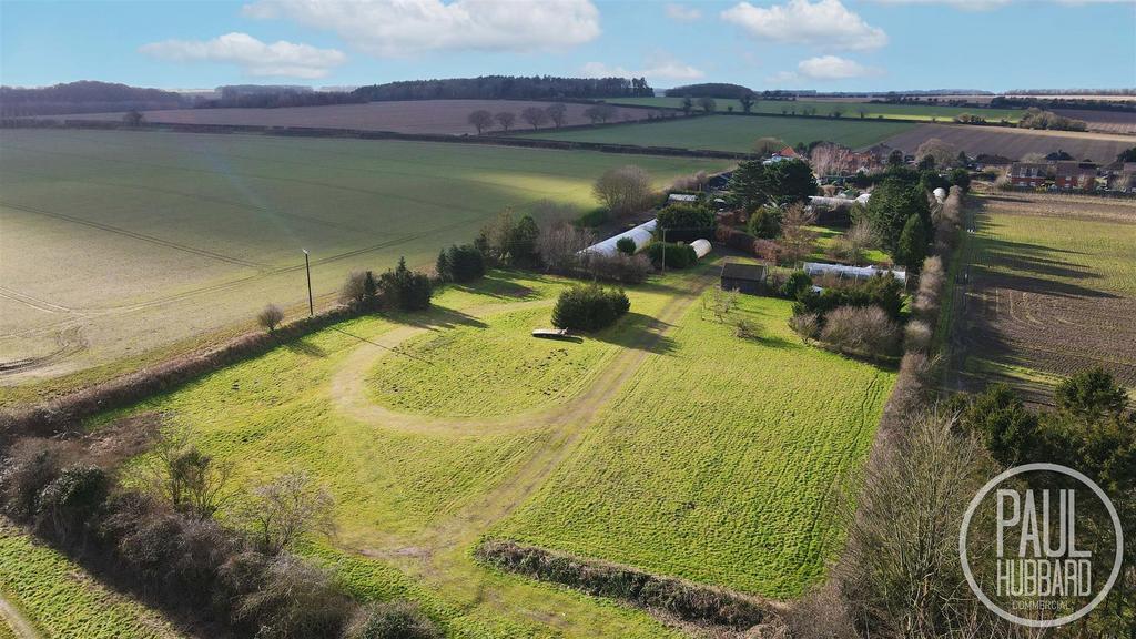 DJI 0461.jpg