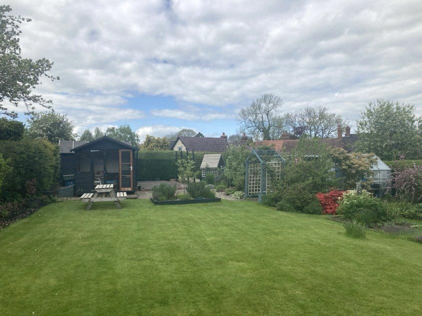 Garden In The Summer